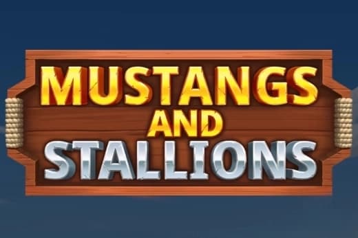 Mustangs and Stallions